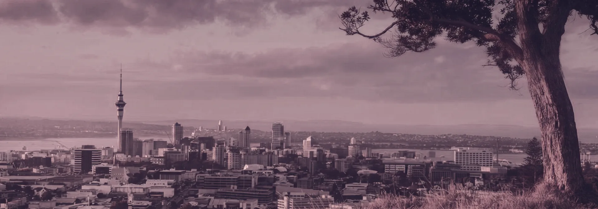 Auckland skyline at golden hour, viewed from Mount Eden